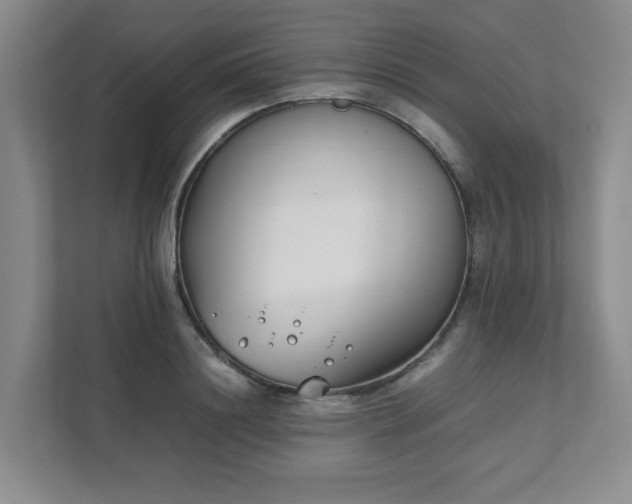 X0000111490844200907211008