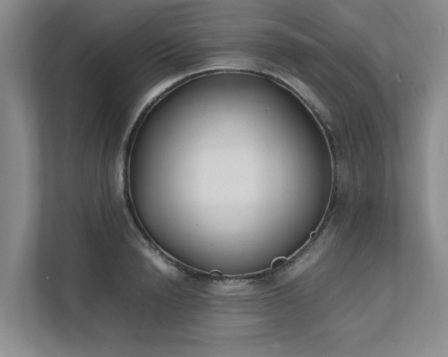 X0000111490846200907211008