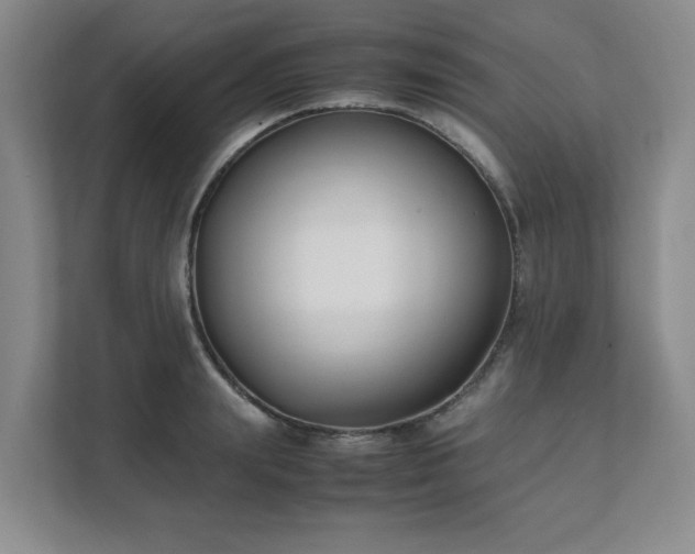 X0000111490847200907211008