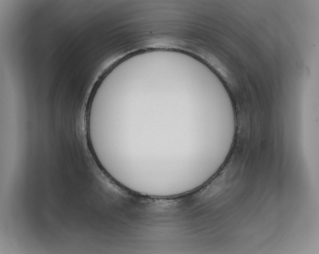 X0000111490848200907211008