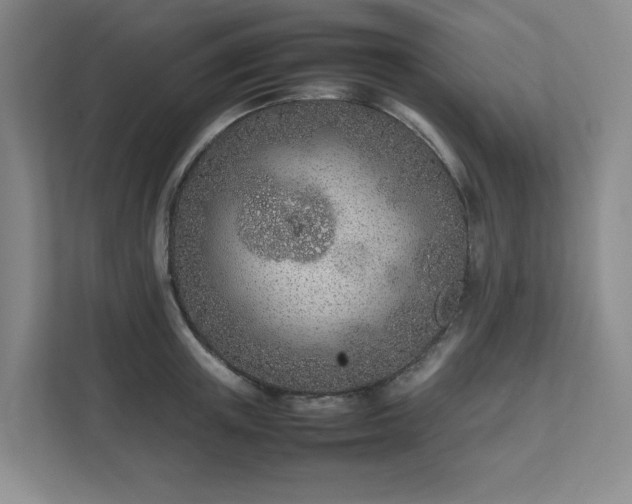 X0000111490851200907211008