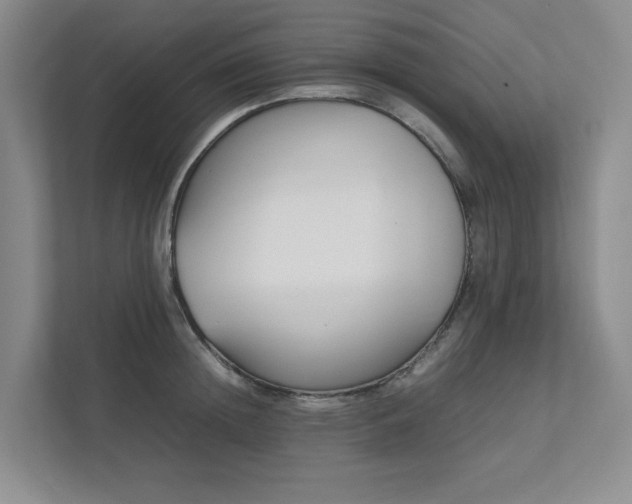 X0000111490852200907211008