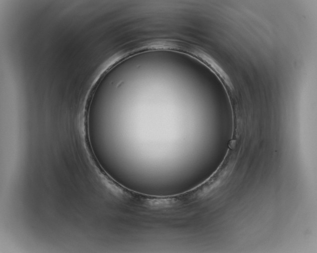 X0000111490853200907211008