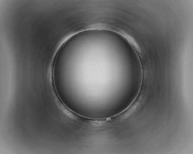 X0000111490854200907211008