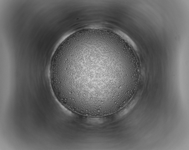 X0000111490855200907211008