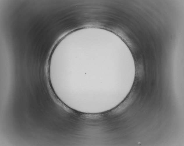 X0000111490856200907211008