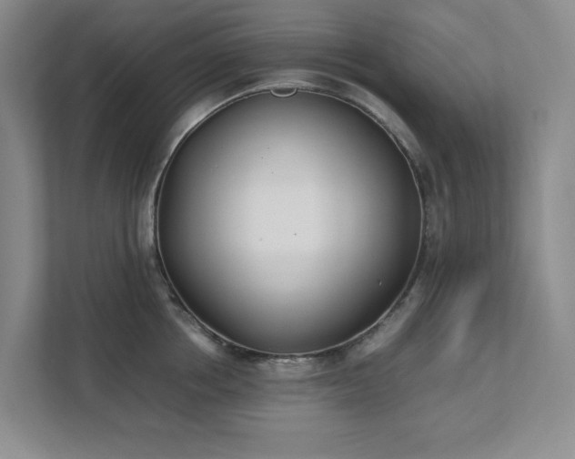 X0000111490858200907211008