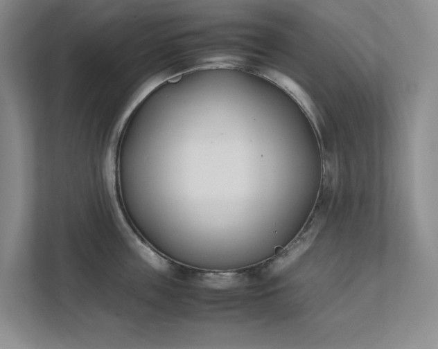 X0000111490859200907211008