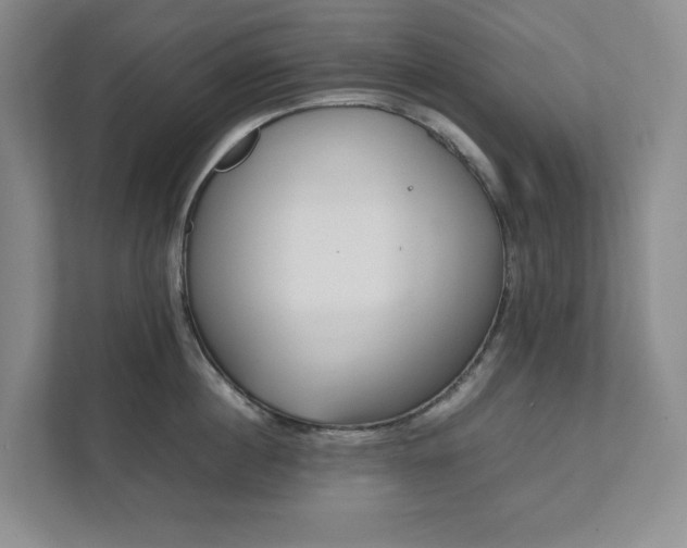 X0000111490860200907211008