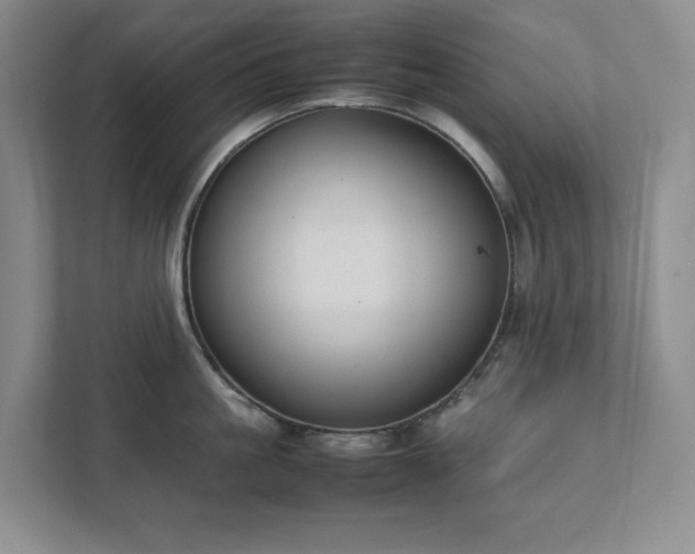 X0000111490861200907211008