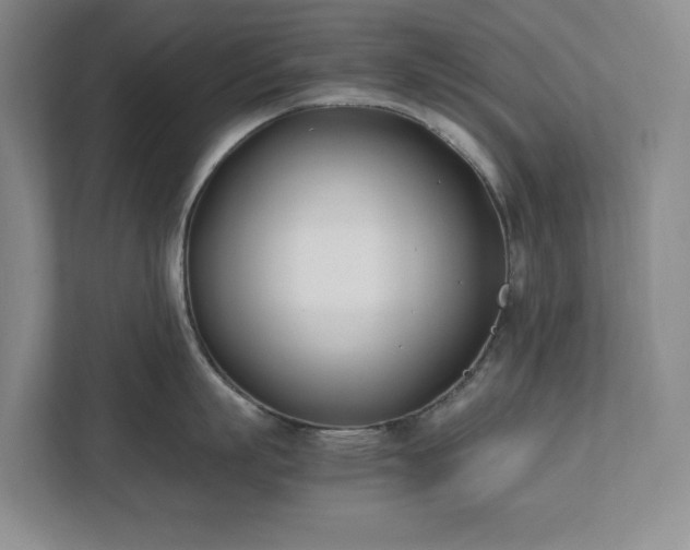 X0000111490863200907211008