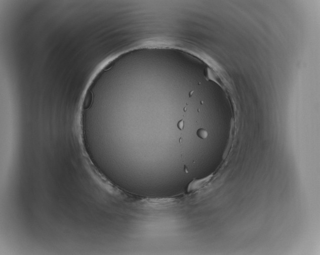 X0000111490864200907211008