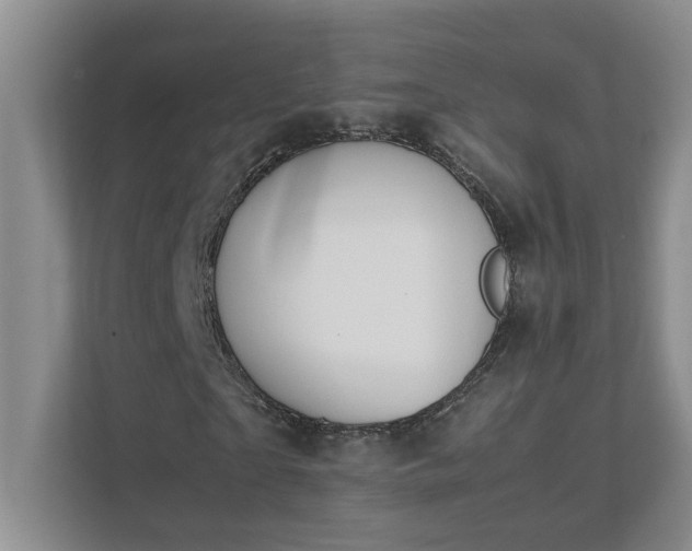 X0000111490865200907211007