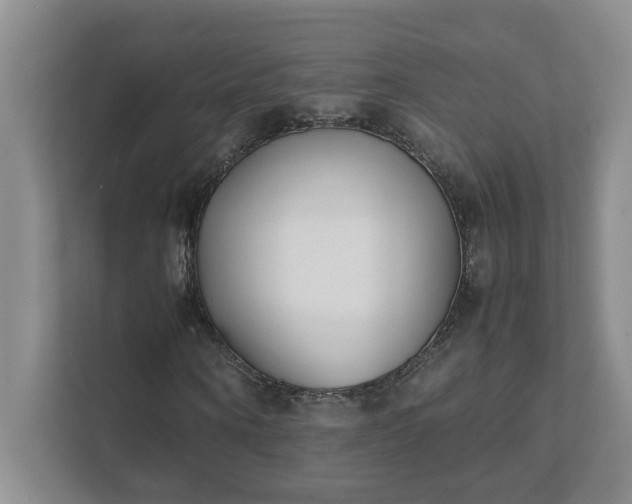 X0000111490866200907211007