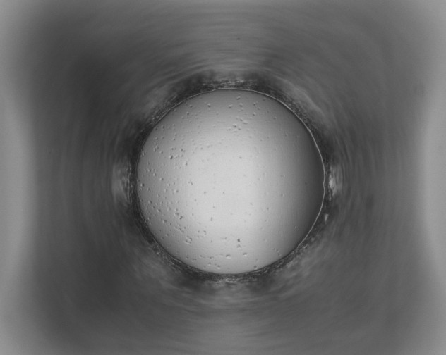 X0000111490867200907211007