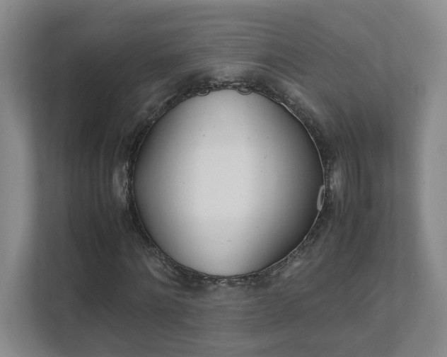 X0000111490868200907211007