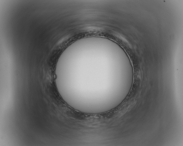 X0000111490869200907211007