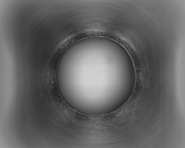 X0000111490870200907211007