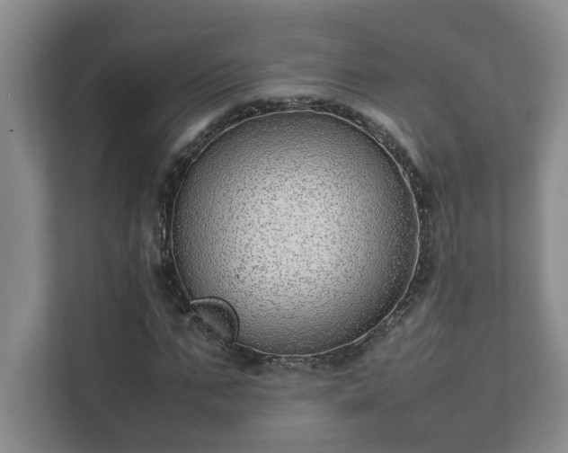 X0000111490871200907211007