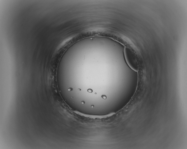 X0000111490872200907211007