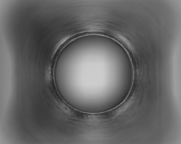 X0000111490875200907211007