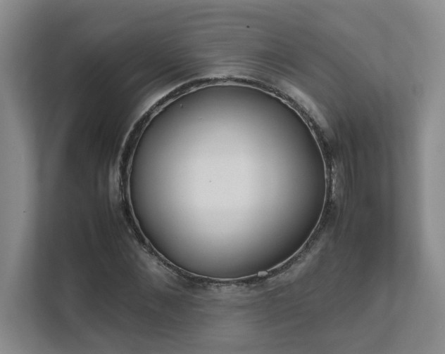 X0000111490876200907211007