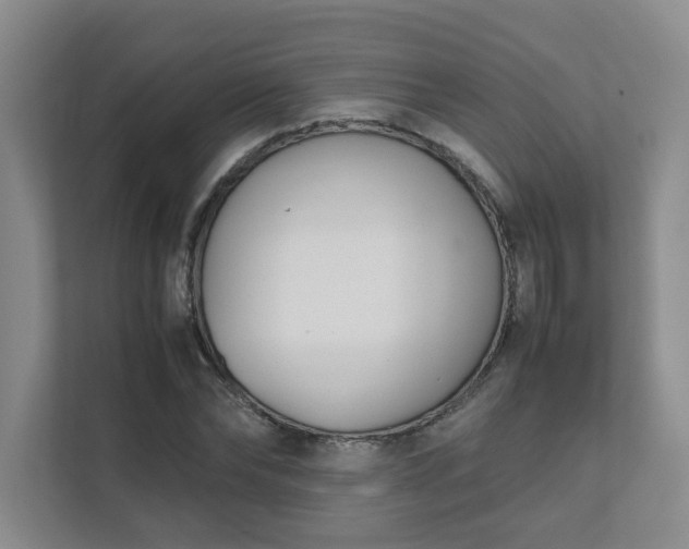 X0000111490878200907211007