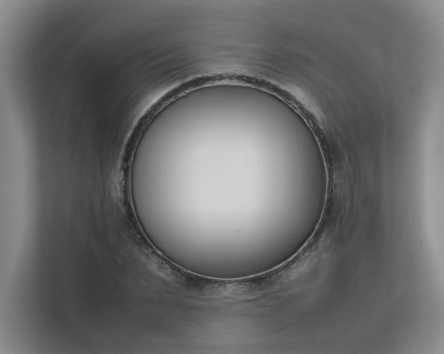 X0000111490879200907211007