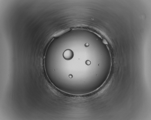 X0000111490881200907211007