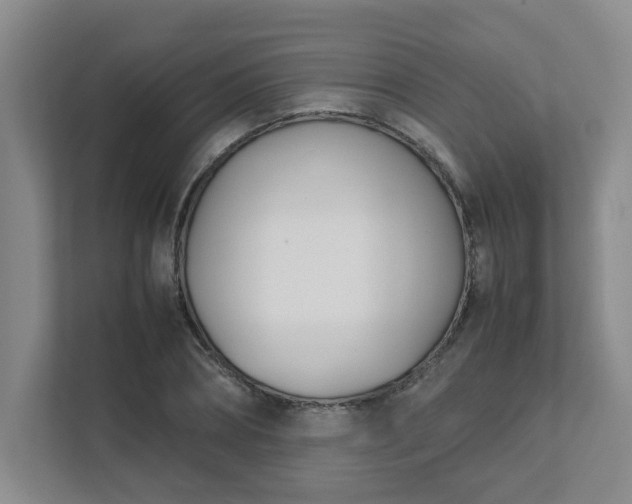 X0000111490882200907211007