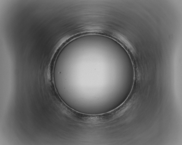 X0000111490883200907211007