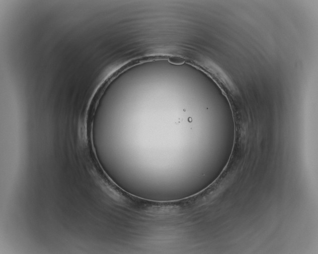 X0000111490884200907211007