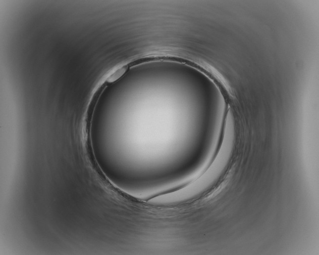 X0000111490885200907211007