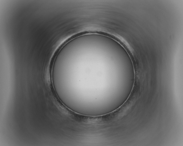 X0000111490887200907211007