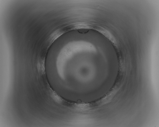 X0000111490889200907211007