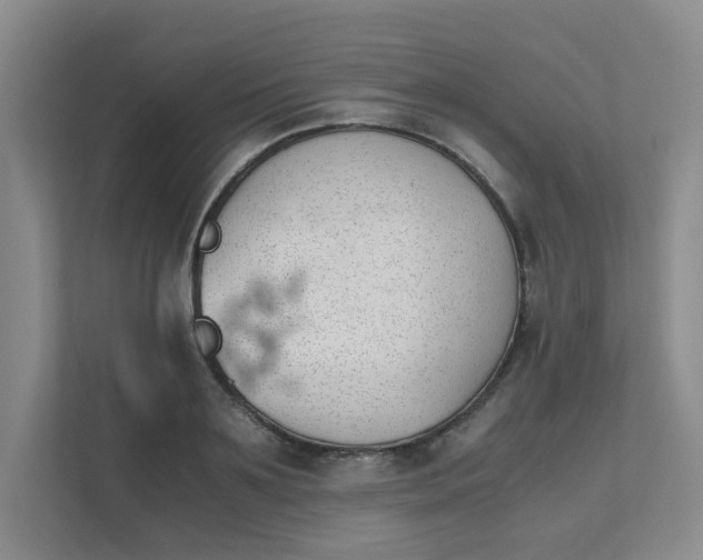 X0000111490891200907211007