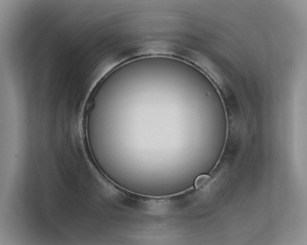 X0000111490893200907211007