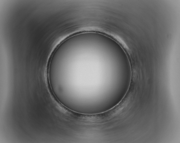 X0000111490895200907211007