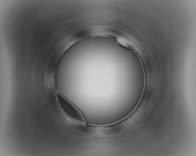 X0000111490897200907211007