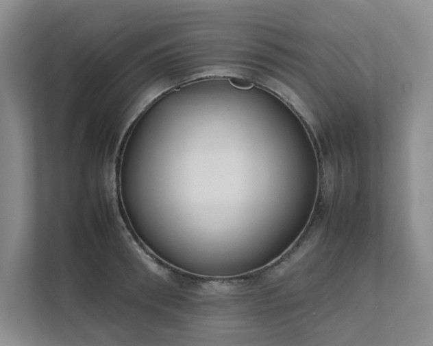 X0000111490898200907211007