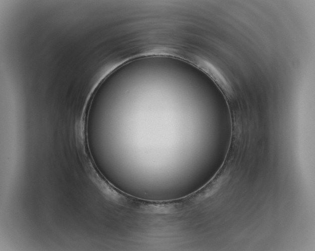 X0000111490900200907211007