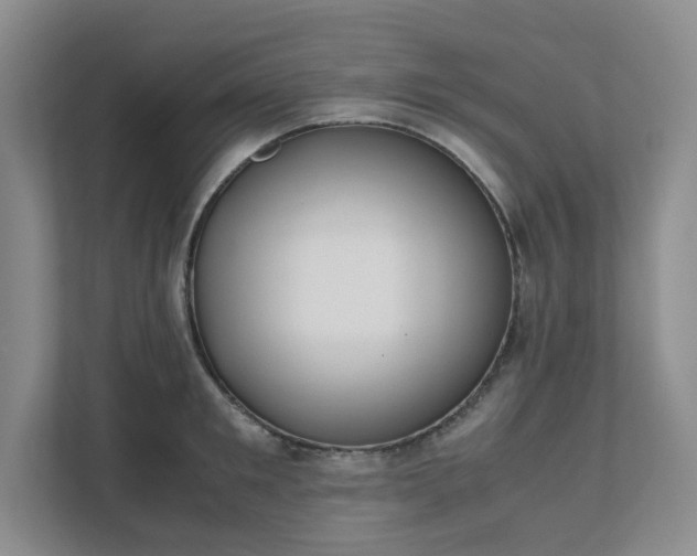 X0000111490901200907211007