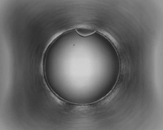 X0000111490902200907211007