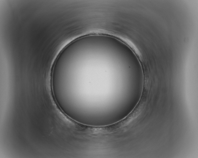 X0000111490903200907211007