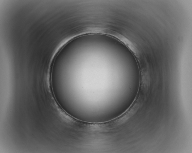 X0000111490904200907211007