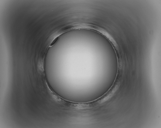 X0000111490905200907211007