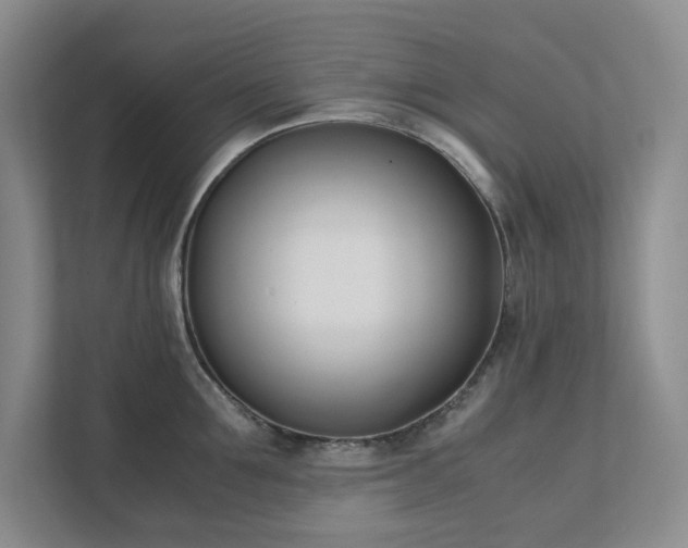 X0000111490907200907211007