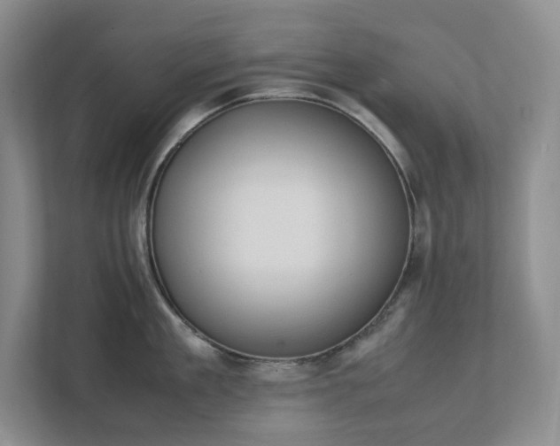 X0000111490909200907211007