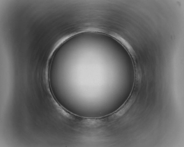 X0000111490910200907211007