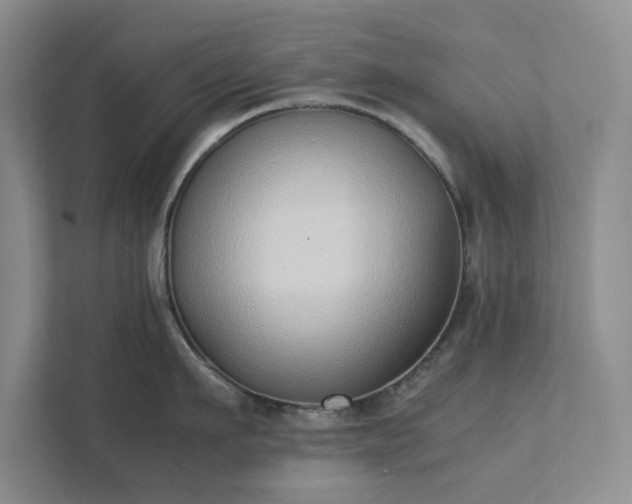 X0000111490911200907211007